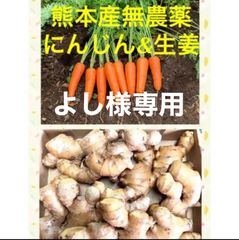 熊本産農薬不使用にんじん&生姜1.2キロ
