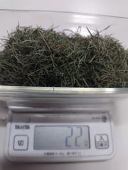 ティートゥリー  葉 乾燥ドライハーブ 20g 芳香 ハーブティー チンキ作り 抗菌作用 うがい 入浴剤として