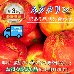ネクタリン〜訳あり品詰め合わせ〜【内容量】約3kg【配送方法】クール配送【サイズ】ミックス【品目】ネクタリン【品種】ミックス【産地】長野県【規格】ご家庭用B品【販売会社】有限会社青木