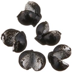 Item thumbnail for item 6b282048-7f5d-4dc2-b47b-24c591e21b33