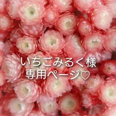 いちごみるく様専用ページです♪