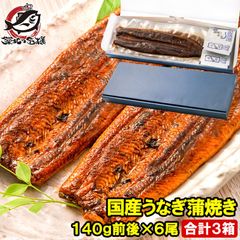 国産うなぎ蒲焼き ギフト箱 3箱 平均140g前後×6尾入り 土用の丑 うなぎ ウナギ 鰻 うな丼 うな重 ひつまぶし ギフト