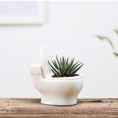 便器 トイレに多肉植物 植木鉢 陶器 観葉植物 プランター 花瓶 サボテン インテリア 花瓶 おもしろ雑貨 容器 おしゃれ 北欧 陶器 ホワイト amya