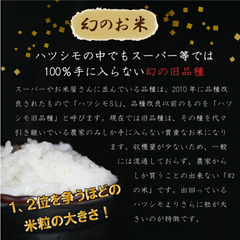 令和5年産　ハツシモ(旧品種) 10kg 幻のお米　玄米or白米　※離島は除きます