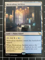 MTG 行き届いた書庫 2枚（日） MTG 行き届いた書庫 2枚 日)行き届いた書庫 / Meticulous