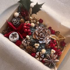 ドライフラワー ドライ ナッツ 木の実 詰め合わせ セットˎˊ˗ クリスマス　クリスマスBOX スギ　ヒイラギ　　No.38