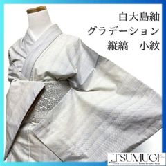 袋帯紗紬夏用夏着物斜め縞モノトーン着物033a d
