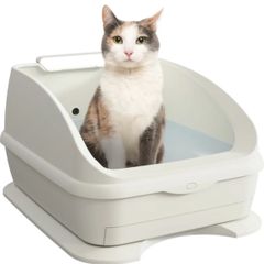 Item thumbnail for item 56b904b3-faa4-4ea4-9d6b-5bcea339f293