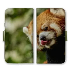 Galaxy A30 SCV43  ケース 手帳型 ギャラクシーA30  スマホケース 携帯ケース レッサーパンダ 動物 アニマル 可愛い かわいい 自然 フサフサ もふもふ 写真 動物園 カラー03