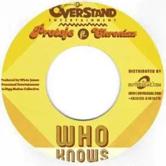 Majesty / Chronixx 両A面 希少レコード Majesty / Chronixx 両A面 希少レコード