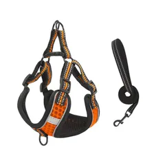 Avidora 犬 猫 ハーネス リード セット ペット 用品 胴輪 首輪 散歩 夜間 反射 通気性 メッシュ 軽量 サイズ 調節 可能 オレンジ M [オレンジ] [M]