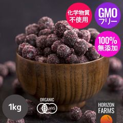 有機 JAS オーガニック 冷凍 ワイルド ブルーベリー 野生種 カナダ産 化学物質不使用 (1kg)