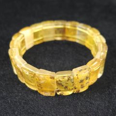 稀少 昆虫が封入された珍しいアンバー(透明な天然琥珀)ビーズ使用の
