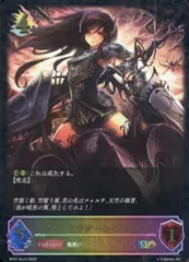 2025年最新】シャドバ エボルヴ フォルテの人気アイテム - メルカリ