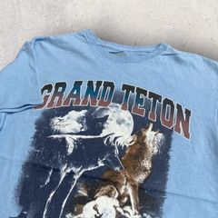 US古着 Nationl Park Foundation GRAND TETON 狼 ウルフ Tシャツ M ライトブルー