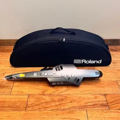 2026年最新】roland ae-10の人気アイテム - メルカリ
