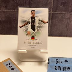 2020-21 Panini Impeccable Stars Kasper Schmeichel 33/49 直筆