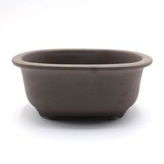 【未使用】盆栽鉢 5号 小判エン付鉢 ウ泥 瀬戸焼 陶器 深め 山野草 雑木 松柏 小品 小さい 約16センチ 植木鉢 苔 うめきち盆栽用品店