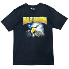 【たくましい鷹】00's Harley-Davidson ハーレーダビッドソン