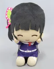 【中古】ぬいぐるみ 栗花落カナヲ でっかいぽふっとぬいぐるみ～胡蝶しのぶ・栗花落カナヲ～ 「鬼滅の刃」