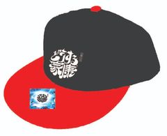 「どうする家康」ライセンス商品 フラットバイザー刺繍CAP(BLACK/RED