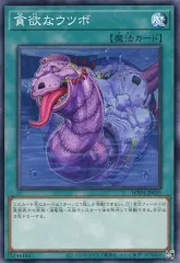 【中古】遊戯王 WPP4-JP059[N]：貪欲なウツボ
