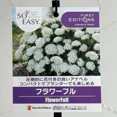 【シュラブ】アナベル・フラワーフル　3.5号ラベル苗