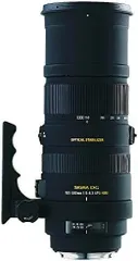 2023年最新】sigma 150-500の人気アイテム - メルカリ