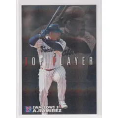 2025年最新】プロ野球チップス2006の人気アイテム - メルカリ