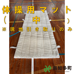 体育・体操マット（中）