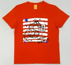 【中古】Tシャツ チームS Tシャツ オレンジ Mサイズ 「SKE48 47都道府県全国ツアー～機は熟した。全国へ行こう!～」 岩手会場限定