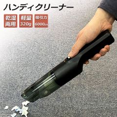 ハンディクリーナー 車用掃除機 コードレス 車 強力 カークリーナー 充電式 ハンディ掃除機 車載 120W 6000pa 超軽量 乾湿掃除機 乾湿両用クリーナー USB充電式 宅内 小型車両対応