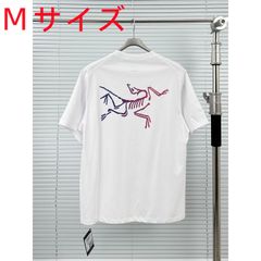 Arc'teryx アークテリクスKRAGG　Tシャツ　レディース　メンズ　半袖Tシャツ 男女兼用　ホワイト　Ｍ