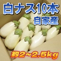 A-STYLE　自家産　白ナス　トルコナス10本　とろーり旨なす「ショップアカウントではゆうゆうメルカリ便で送れないため沖縄への発送は出来かねます、個人アカウントよりご購入頂けましたら発送可能ですので出品いたしましたらそちらよりよろしくお願いいたします。」