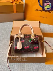 【今日特価】LV ルイ・ヴィトン Nano Speedy 20 枕バッグ シリーズ-WTO輸入2