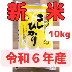 新米！ 令和６年産 8月24日入荷！ 千葉県産「コシヒカ」 １０Kg 減農薬米