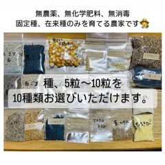 無農薬　無化学肥料　無消毒　種子　種　ハーブ　野菜
