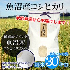 魚沼産 コシヒカリ 白米 30kg（5kg×6袋）雲龍和紙 新潟 魚沼産こしひかり 産地直送 お祝い、ギフト、贈答に ご自宅、ご家庭、お弁当にも 新米