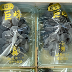 国産 九州産 ぶどう 巨峰 2パック 箱込み 約600g  特A優品【002】クール冷蔵 フルーツ ギフト プレゼント用  果物  熊本 福岡 葡萄 ブドウ 予約販売 ７月下旬以降 【バイヤー推奨商品】