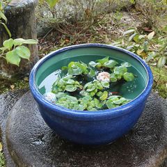 天然石 自然石 蹲 水鉢 ししおどし つくばい 和風庭園 石鉢 ちょうず鉢