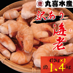 訳あり海老470g×3（約1.4kg）お得用