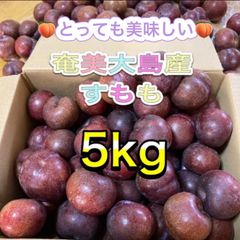 採れたて新鮮温風　奄美大島産 すもも 5kg 採れたて新鮮温風 奄美大島産 すもも 5kg - メルカリ
