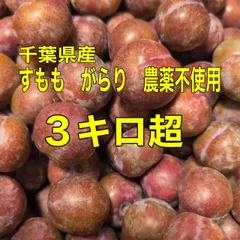 すもも がらり 農薬不使用 10kg 楽天市場】がらり(すもも) 2kg 鹿児島県産 加工用 化学肥料