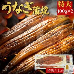 鰻蒲焼き 2尾 400g ×2 有頭 土用の丑の日 中国産 うなぎ 海産物 お取り寄せグルメ ビール 誕生日 食べ物 海鮮 もらって 嬉しい ギフト グルメ