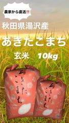 令和4年産米 秋田県産  あきたこまち　玄米　大容量10kg🌾