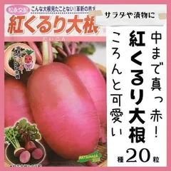 2025年最新】赤い大根の人気アイテム - メルカリ