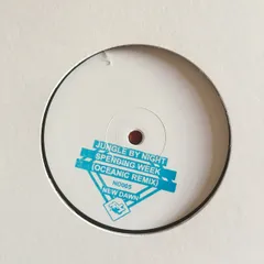 蘭12” Jungle By Night Spending Week (Oceanic Remix) ND005 New Dawn /00250