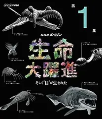 【中古】 NHKスペシャル　生命大躍進　第1集/ＤＶＤ/NSDS-21009 717L7HvtX8L.jpg