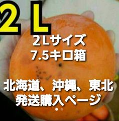 家庭用富有柿　２L　7.5キロ箱