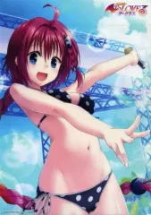 2025年最新】toloveる 原画展 クリアポスターの人気アイテム